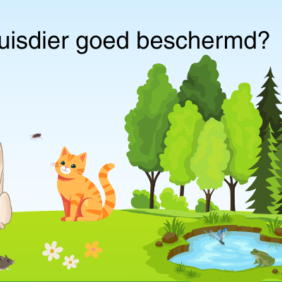 Zorg goed voor uw huisdier: advies en het belang van ontwormen, vlooien- en tekenbehandeling