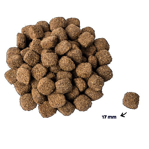 Renske RE adult kip en rijst 12 kg 35372