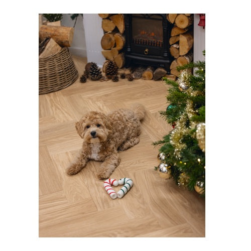 BeezteesLatexkerstzuurstok2400098__2