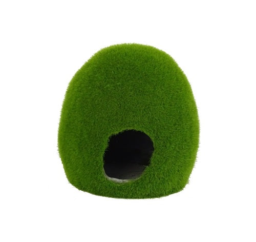 Blue belle pacific BBP Mossy hole M 0040338