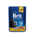 BritBPpouchzalmenforel100gr0487__1