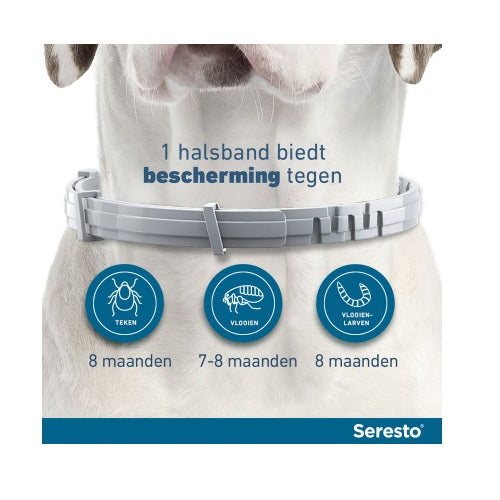 Elanco Seresto kleine hond 2 st 782712