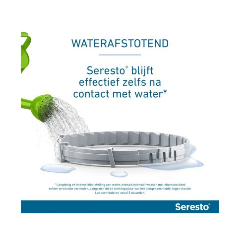 Elanco Seresto kleine hond 2 st 782712