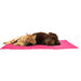 FlamingoKoelmatdropfuchsiaL520364__3