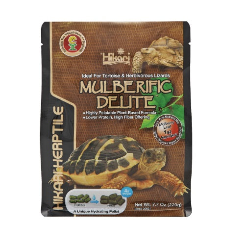 HikariHikariturtlemulberific220grA3020675__1