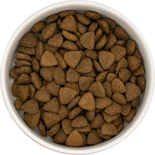 NatuurlijkHoltmansSuperfoodadultangusrund12kgSFN12__2