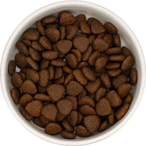 NatuurlijkHoltmansSuperfoodadulteend2kgSFD2__2