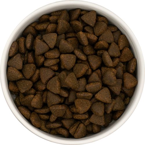 NatuurlijkHoltmansSuperfoodadultschotsezalm6kgSFS6__2