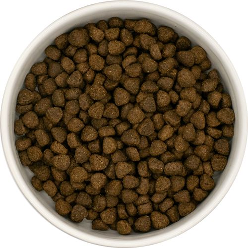 NatuurlijkHoltmansSuperfoodadultsmallagnusrund6kgSFA6__2