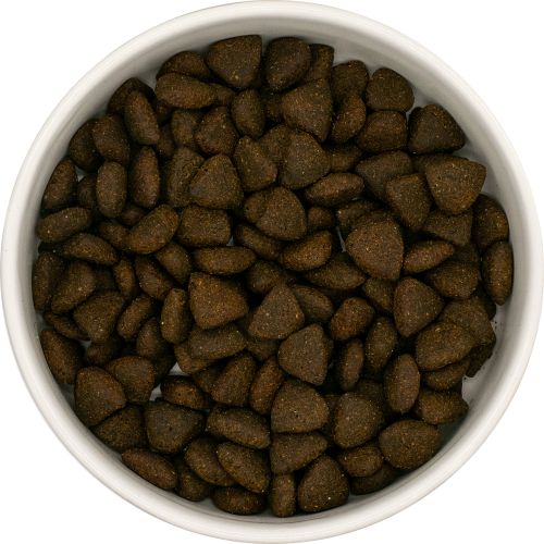 NatuurlijkHoltmansSuperfoodseniorzalm12kgSFK12__2