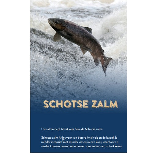 NatuurlijkHoltmansSuperfoodseniorzalm12kgSFK12__3