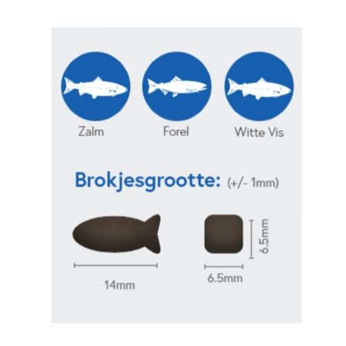 Natuurlijk Holtman's Treats fish 80% 500 gr TTF