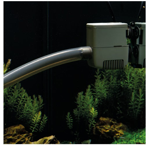 OaseAquain-outset80042722__2