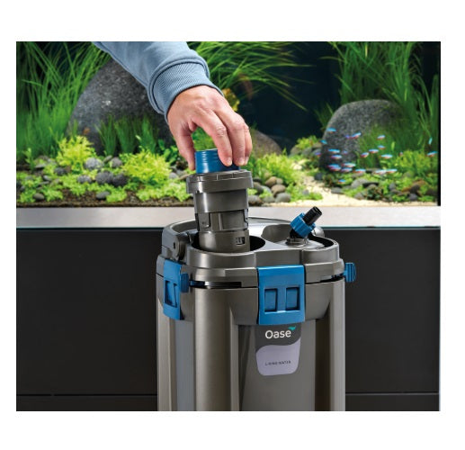 OaseBioMasterthermo35094684__3