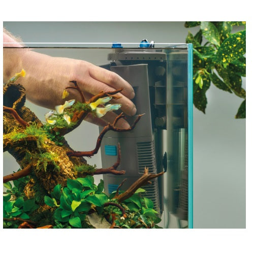 OaseBioPlusthermo10042237__3