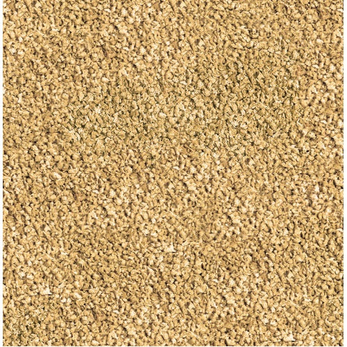 SeraBettagranules50ml00104__2