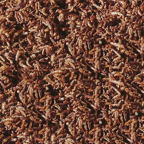 SeraBloodwormsFDsnack100ml01140__2