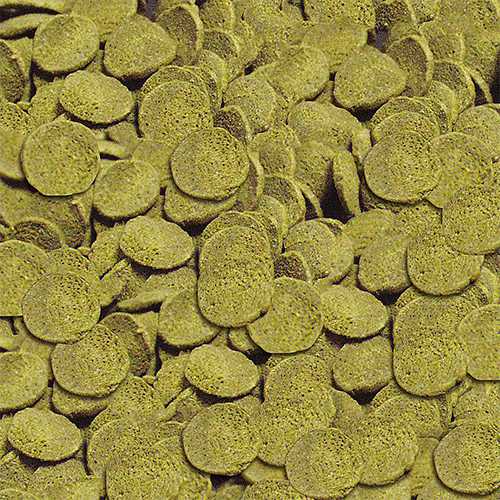 SeraPlecochips1ltr00508__2