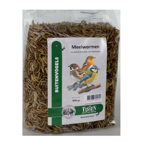 TijssenMeelwormen400grBV60016__1