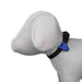 TrixieLichtjevoorhonden8cm13447__2