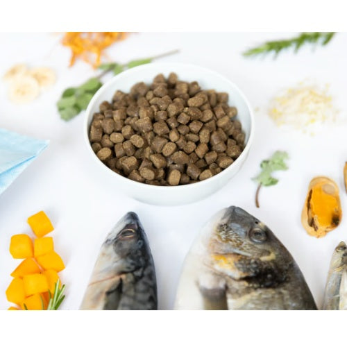 YdoloHealthypurewildfish10kg310004__2