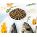 YdoloHealthypurewildfish25kg310005__2