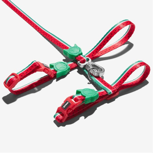 ZeeDogLolah-harnessXS570878__1