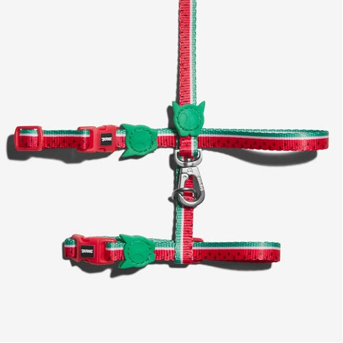 ZeeDogLolah-harnessXS570878__2