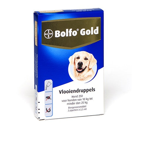 Bayer Bolfo gold hond 250 2 stuks 5862