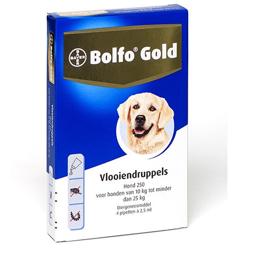 Bayer Bolfo gold hond 250 4 stuks 6408