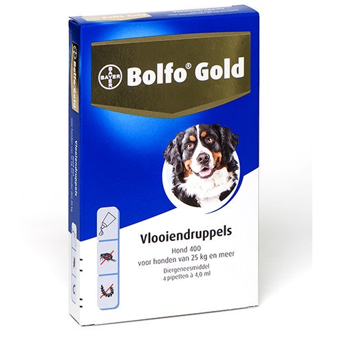 Bayer Bolfo gold hond 400 4 stuks 6409