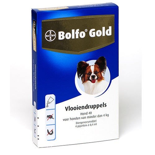 Bayer Bolfo gold hond 40 4 stuks 6406