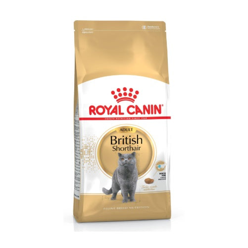 Royal Canin RC british shorthair adult 10 kg 336100