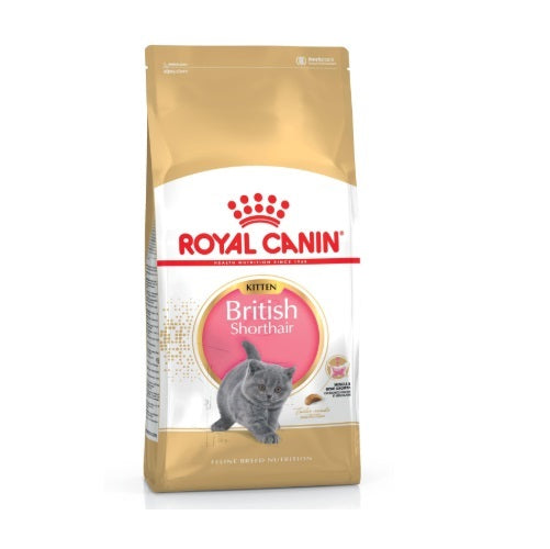 Royal Canin RC british shorthair kitten 400 gr  339005