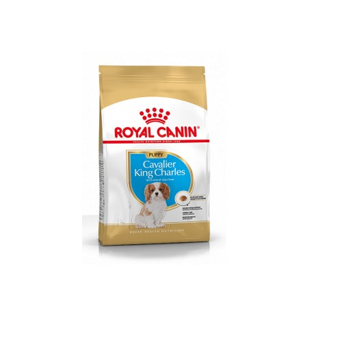 Royal Canin RC cavalier king charles puppy 1,5 kg 279601