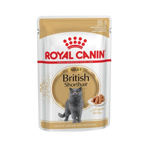 Royal Canin RC ds12 britisch shorthair 85 gr 380048