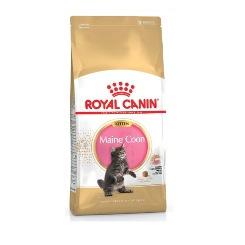Royal Canin RC maine coon kitten 2 kg 338020